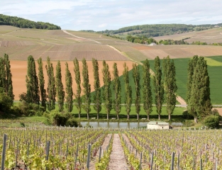 MONTHELON - LE DARCY ET LE MANCY-marne