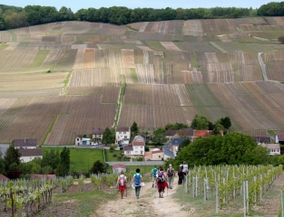 MONTHELON - LE DARCY ET LE MANCY-marne