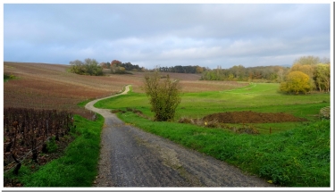 COURCELLES - TRESLON - ROSNAY-marne