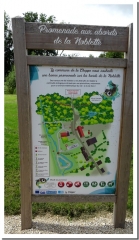 AUTOUR DU CAMP D ATTILA-marne