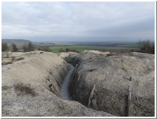 LA MAIN DE MASSIGES-marne