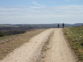 FOULAIN - MARNAY-haute-marne