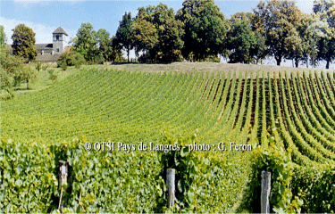 Circuit des Grandes Charmes-haute-marne