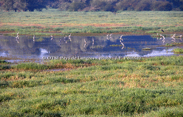 Tour du lac de Vingeanne-haute-marne