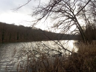MANDRES - ETANG DU VAU - LE CUL DE SAC-haute-marne