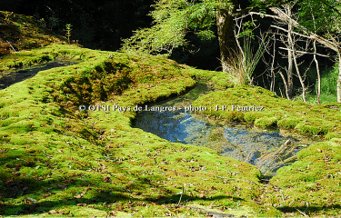 LA TUFIERE DE ROLAMPONT-haute-marne