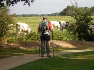 PAYS DE MESLAY GREZ-mayenne