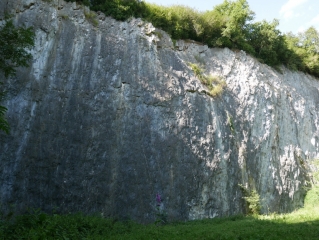 LES PAS JAPONAIS-mayenne