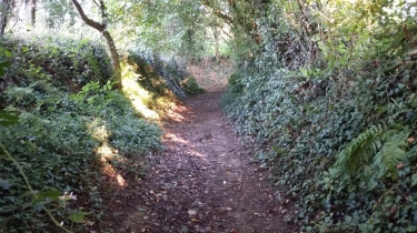 LA CHAPELLE DU CHENE - SAINT-MARTIN-DE-CONNEE-mayenne