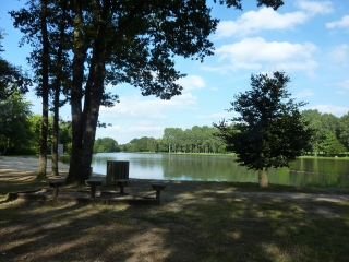 ETANG DE LA FONDERIE-mayenne