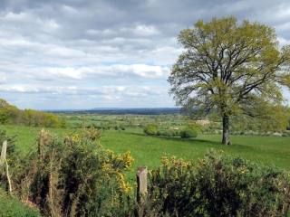 SAINTE-ANNE-DE-CHAMPFREMONT-mayenne
