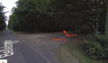 FORET DE BELLEBRANCHE-mayenne