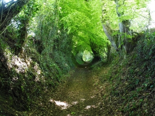IZE - CIRCUIT DE LA VAUDELLE-mayenne
