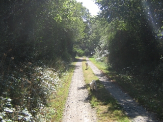 CIRCUIT DE LA ROUETTE-mayenne