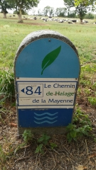 DAON - CHEMIN DE HALAGE-mayenne