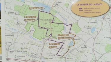 FORET DOMANIALE DE BELLEBRANCHE-mayenne