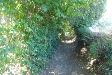 SAINT-LOUP-DU-GAST EN  MAYENNE-mayenne