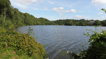 SAINT-LOUP-DU-GAST PAR LA MONNERIE-mayenne