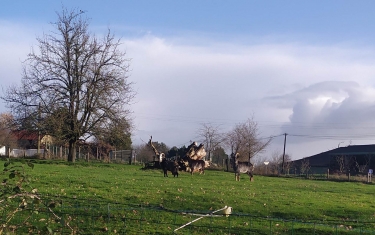 RANDO SAINT-OUENNAISE-mayenne