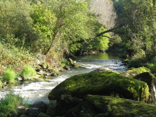 BRECE - SAUT AU LOUP-mayenne
