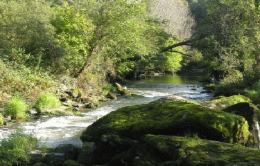 BRECE - SAUT AU LOUP-mayenne