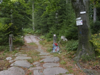 DE VAL-ET-CHATILLON AU DONON-meurthe-et-moselle