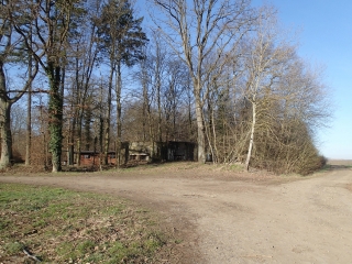 MANONCOURT SUR SEILLE - BOIS DE TEMPAVART-meurthe-et-moselle