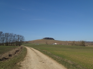 MANONCOURT SUR SEILLE - BOIS DE TEMPAVART-meurthe-et-moselle