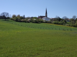 LANFROICOURT - ETANG DE BRIN ET FORET DOMANIALE D AMANCE-meurthe-et-moselle