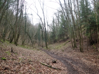 JAULNY -  BOIS DE LA PETITE MONTAGNE-meurthe-et-moselle