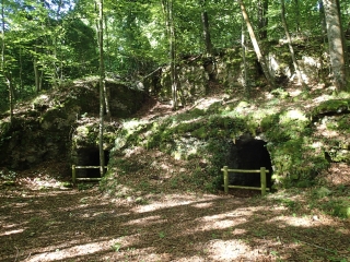 VIEVILLE-EN-HAYE - CIRCUIT DU BOIS DE LA RAPPE-meurthe-et-moselle