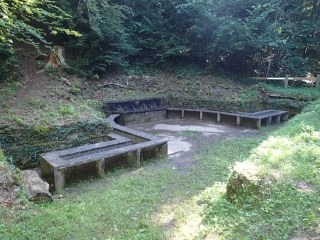 VIEVILLE-EN-HAYE - CIRCUIT DU BOIS DE LA RAPPE-meurthe-et-moselle