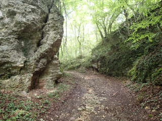 LIMEY-REMENAUVILLE - CIRCUIT DU PLATEAU DE HAYE-meurthe-et-moselle