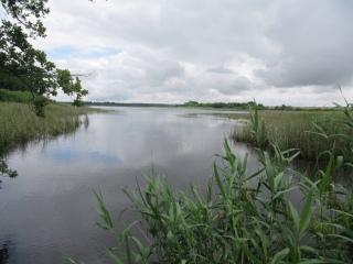 TOUR DE L ETANG DE LACHAUSSEE-meuse