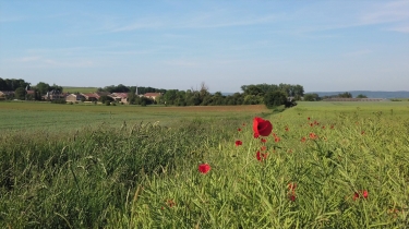 AUX MARCHES DE MEUSE EN 3 JOURS-meuse