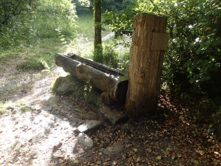 SOMMEDIEUE - CIRCUIT DES BOIS D HINVAUX-meuse