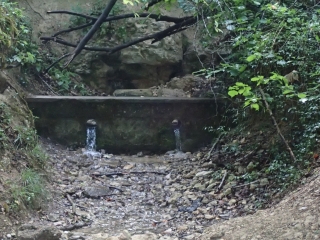 SOMMEDIEUE - CIRCUIT DES BOIS D HINVAUX-meuse