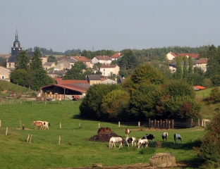 LES SIX CENTS ARPENTS-meuse