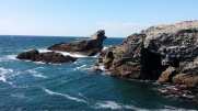 POINTE DES POULAINS-morbihan