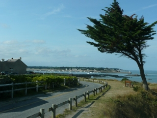 PENESTIN - LES MARAIS DE LA TORTE-morbihan