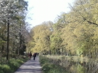 SAINT-AIGNAN - CIRCUIT DE LA LANDE DU MENE-morbihan
