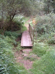 PLOUAY PAR LE MOULIN DE COET CREN-morbihan