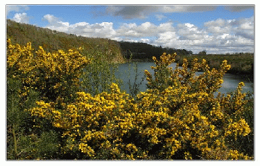 GR38 - PARTIE 2-morbihan