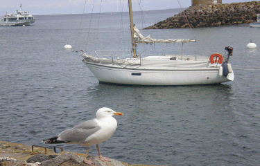 PORT DE CROUESTY-morbihan