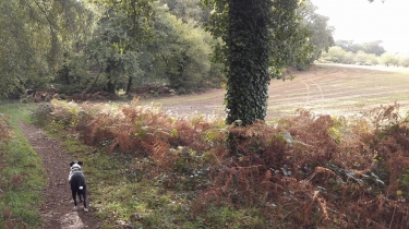  CAUDAN - GRANDE BOUCLE-morbihan