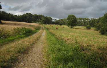 CIRCUIT DU DOLMEN-morbihan