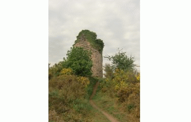 CIRCUIT DES LANDES-morbihan