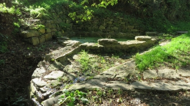 BRECH - RANDONNEE DES DEMOISELLES BLEUES-morbihan