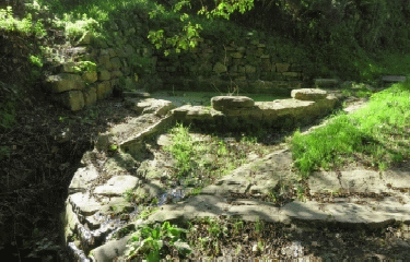 BRECH - RANDONNEE DES DEMOISELLES BLEUES-morbihan