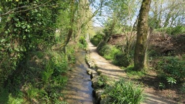 MEUCON - CIRCUIT DES SOURCES-morbihan